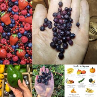 My Refined Low Glycemic Food List